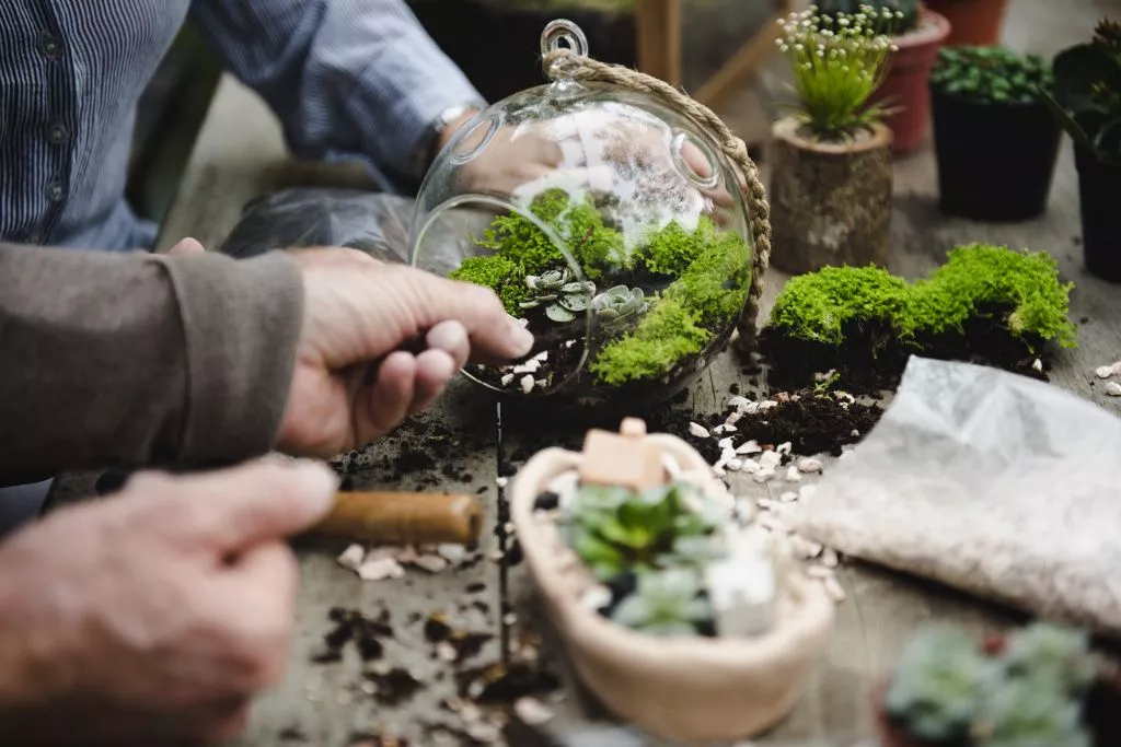 florarium.jpg
