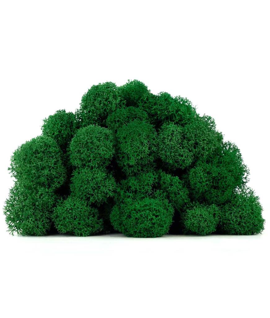 Мох ягель зелёный натуральный YG28-05 0,5 кг