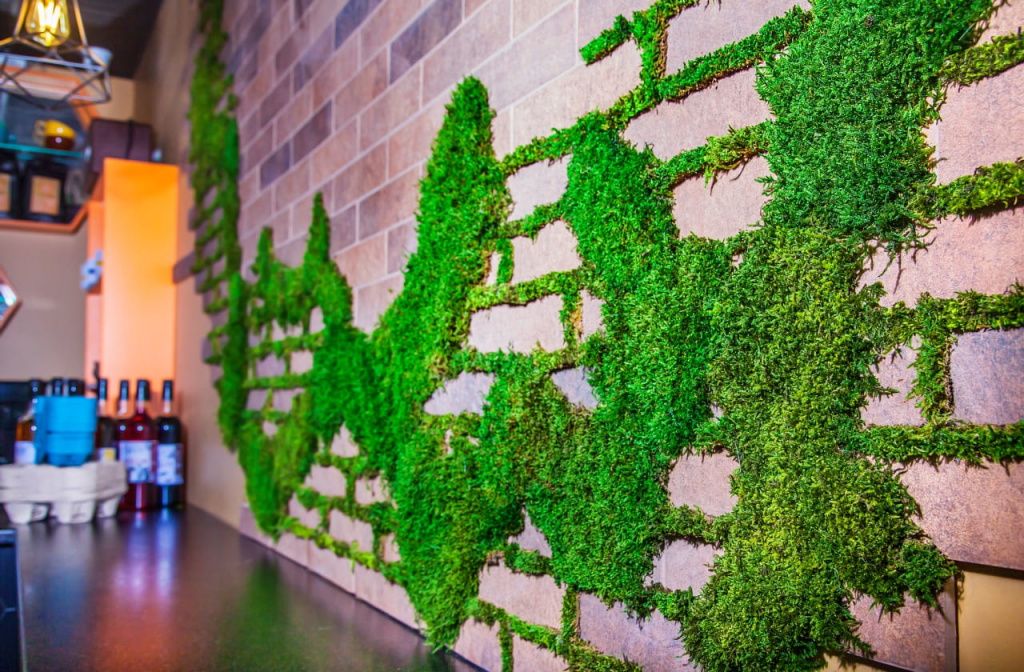 Зеленые стены в ресторанах