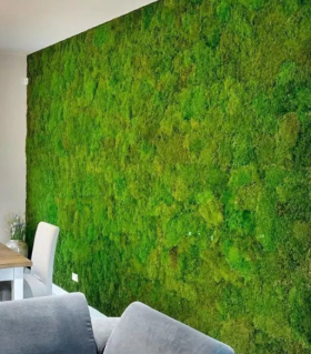 Зеленые стены