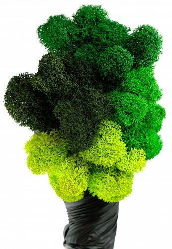Мох ягель зелёный натуральный YG28-40 4 кг